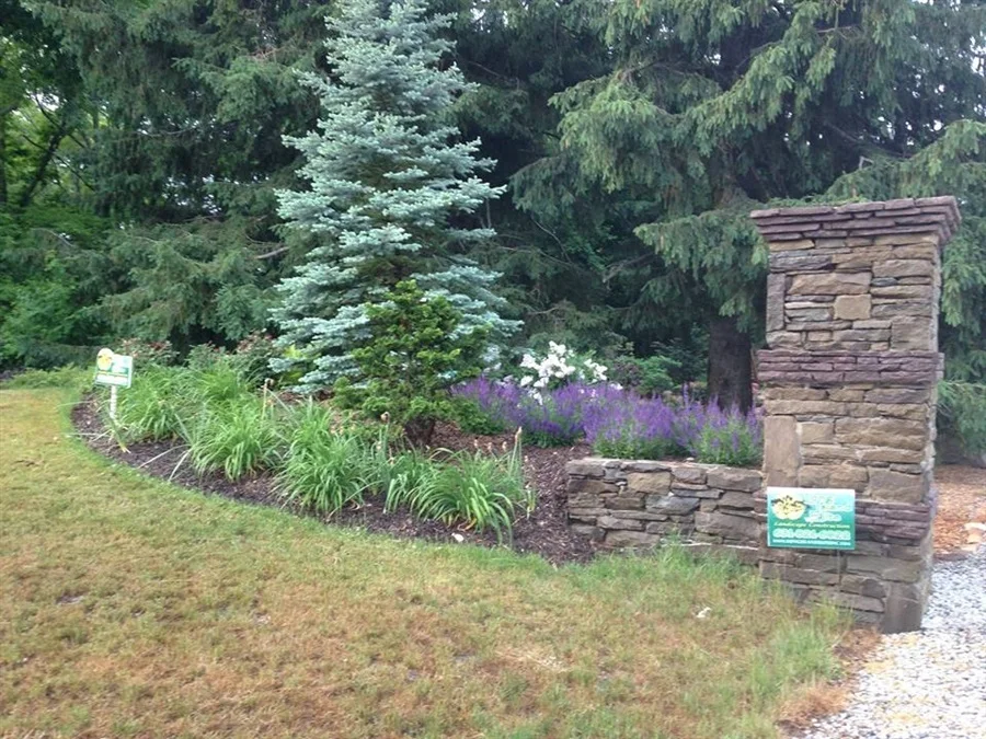 landscaped garden with trees and plants